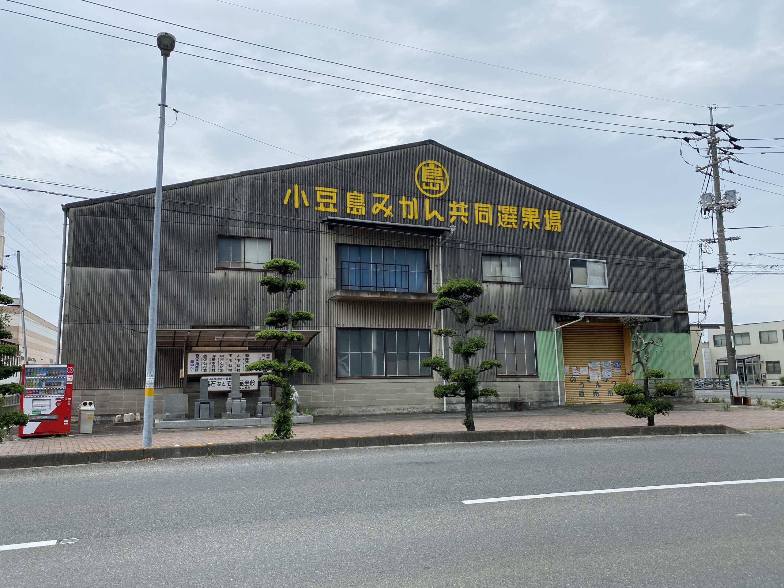 みかん