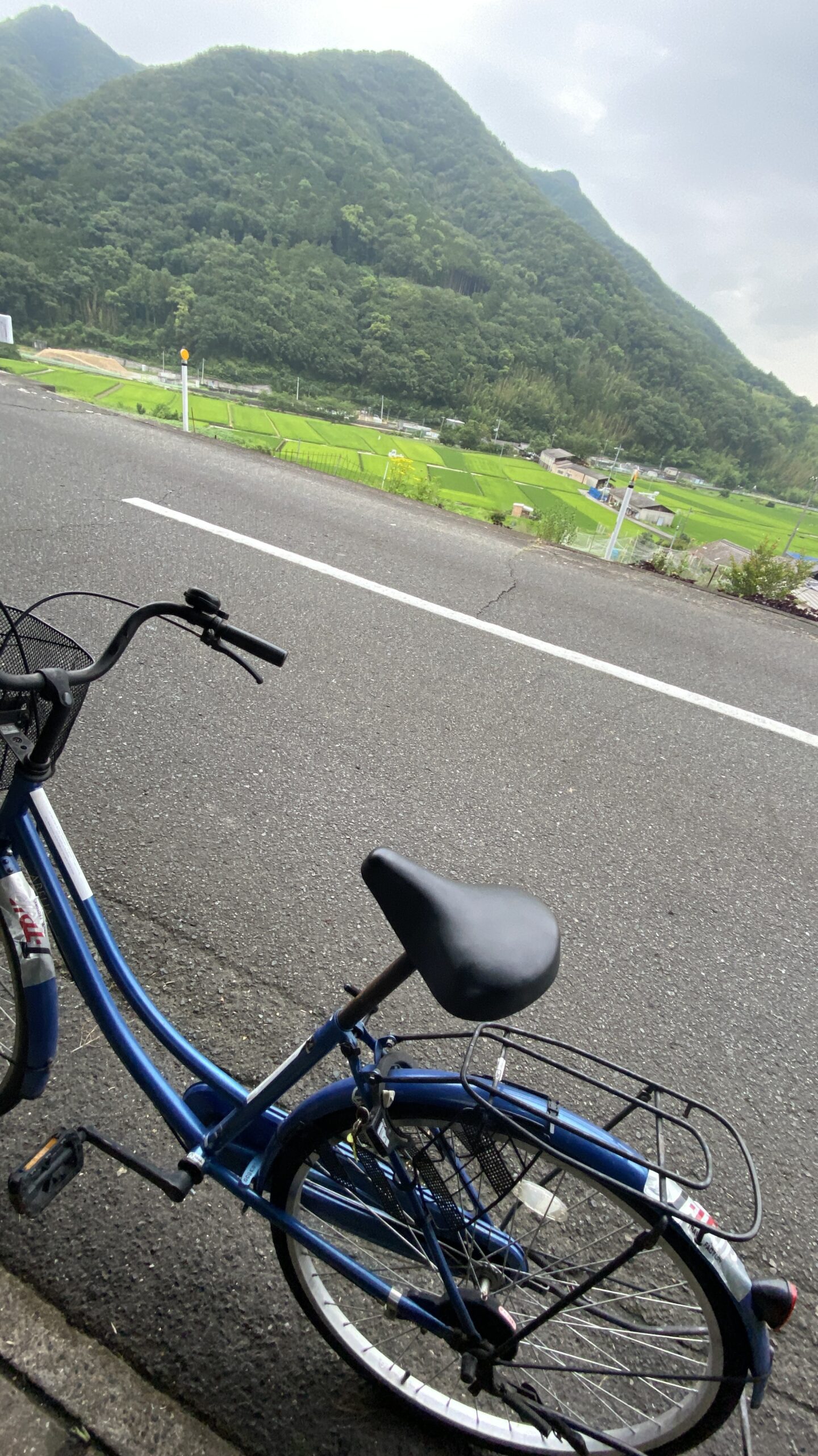 ちゃり